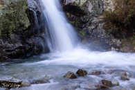 MG_6335