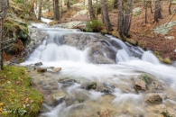MG_6363