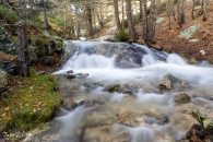 MG_6373
