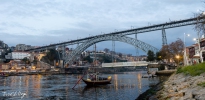 IMG_7686-Pano