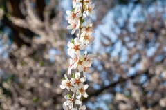 20260302-_J5A5234-Editar