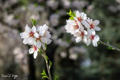 20260302-_J5A5242-Editar