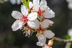 20260302-_J5A5244-Editar