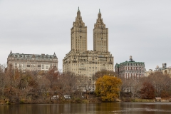 Central Park