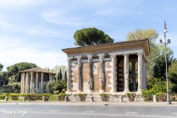 MG_9518-Editar