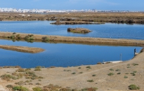 IMG_2633-Pano