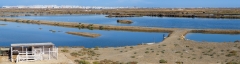 IMG_2633-Pano