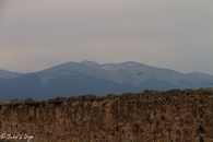 img_5288_8174559331_o
