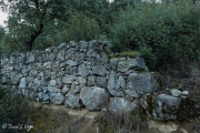 pared de Piedra