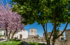 MG_8644-Editar