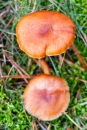 MG_0114