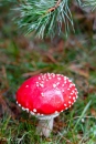 MG_9871-Editar