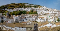 IMG_4554-Pano-2