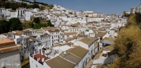 IMG_4554-Pano