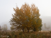 mg_4447_22526942249_o