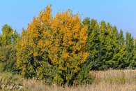 mg_4630_22905654332_o