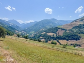 IMG_5833