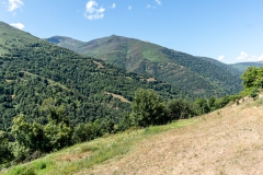 IMG_2274-20260810