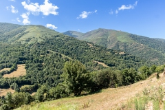 IMG_2280-20260810