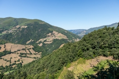 IMG_2351-20260811-Editar