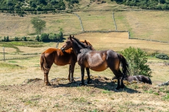IMG_2379-20260811-Editar