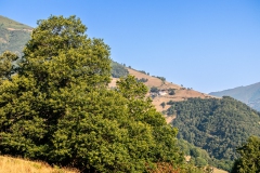 IMG_2426-20260813