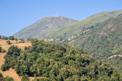 IMG_2429-20260813