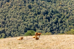 J5A7140-20260811