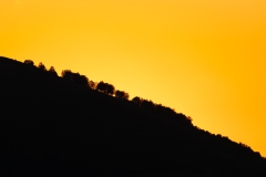 J5A7287-20260811