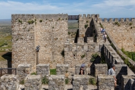 MG_0708