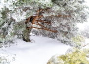 MG_0551-Pano-Editar