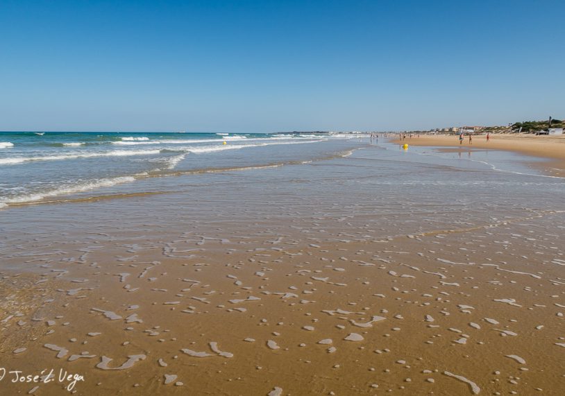 Torquay Top - Barrosa